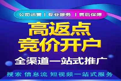 开户返点模式在电商行业的成功案例